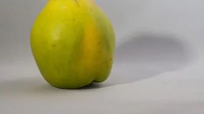 Ayva