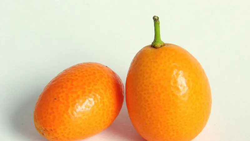 Kumkuat