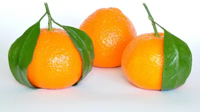Mandalina
