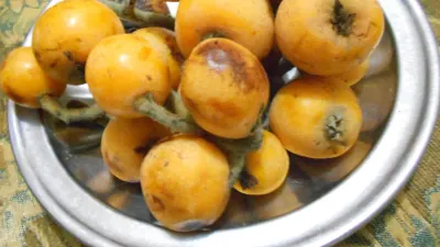 Yenidünya
