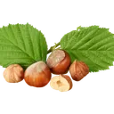 Fındık