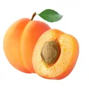 Kayısı