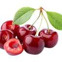 Vişne